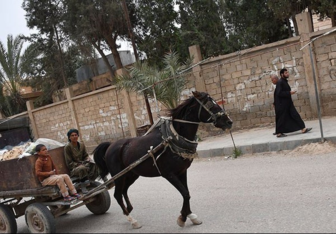 Chum anh cuoc song nguoi dan Syria o Deir Ezzor-Hinh-5